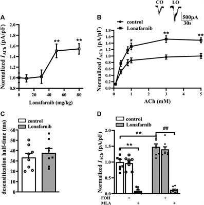 Farnesyl Transferase Inhibitor Lonafarnib Enhances α7nAChR Expression Through Inhibiting DNA Methylation of CHRNA7 and Increases α7nAChR Membrane Trafficking